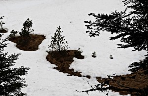 IMG_9795 