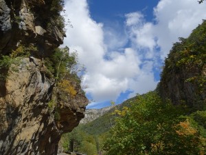 DSC02650 (Copier)       