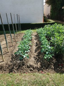 Jardin Auch  