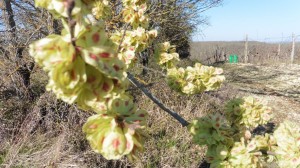 thumb_P1030136_1024  