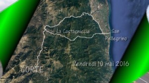 Capturedvd19