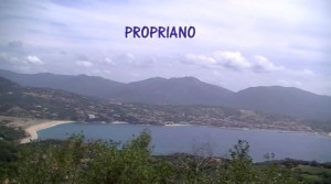 Capturedvd41