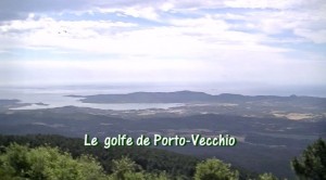 dvd40