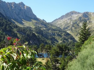 Etang  de Laurenti (30)  