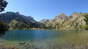 Etang  de Laurenti (38)  