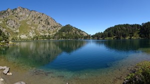 Etang  de Laurenti (53)  