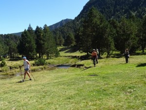 Etang  de Laurenti (58)  