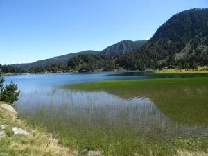 Etang  de Laurenti (64)  