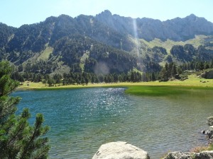 Etang  de Laurenti (65)  