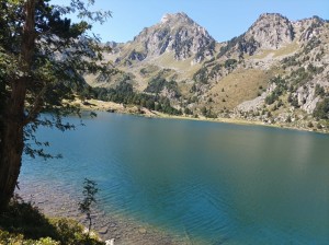 IMG-20210909-WA0009  