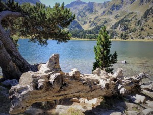 IMG_20210906_134607 (2)  