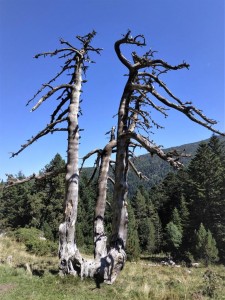 IMG_20210906_145021 (2)  