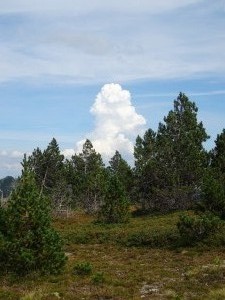 Tarbesou (56)  