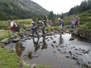Etangs de Rabassoles (15) 