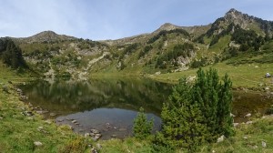 Etangs de Rabassoles (28) 