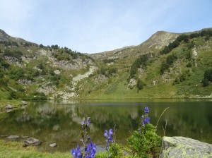 Etangs de Rabassoles (34) 