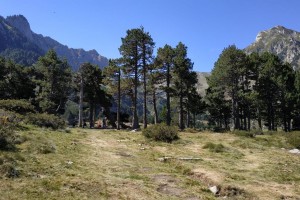 IMG_20210906_122400 (2) 