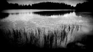 170628-544bn-lac 13h17        