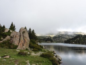 P1020426         