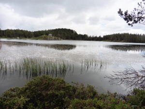 P1020441         