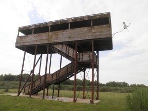 38Terre d oiseau 