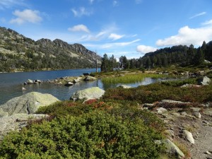 Hourquette d'Aubert (54)     