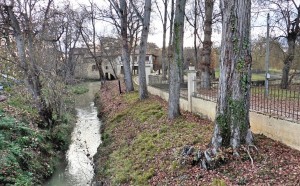 thumb_P1020697_1024_Fotor