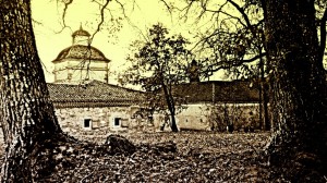 170202-51p5j-la Lanne, cour 