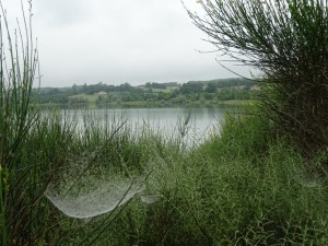 Réservoir du Lizet (31)