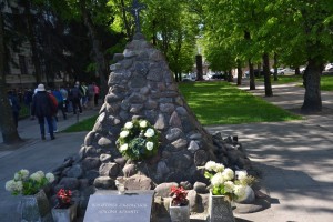 Trakai kaunas0010