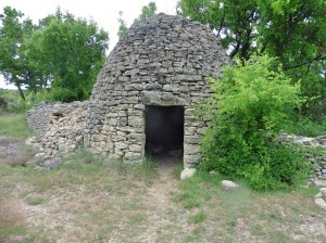 P1030331_Fotor