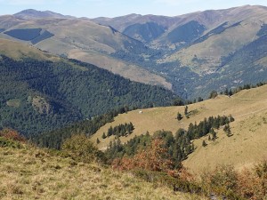 10-Luchon (71)