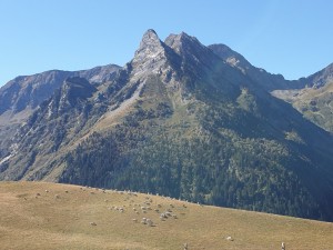 14-Luchon (67)