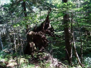 19-Luchon (57)
