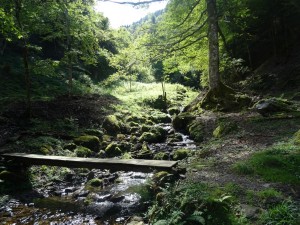 39-Luchon (12)