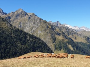 9- Luchon