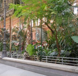  Jardin tropical de la gare d'Atocha  