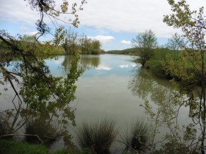 P1000218  