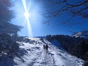 IMG_20240112_112002    