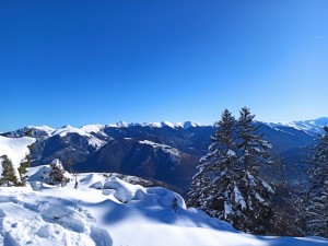 IMG_20240112_113951    
