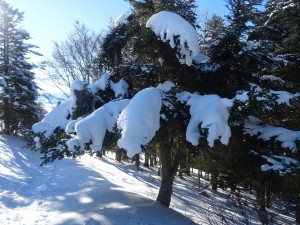 Plo del Naou (18)    