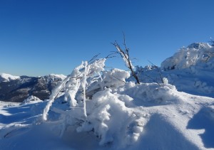 Plo del Naou (26)    