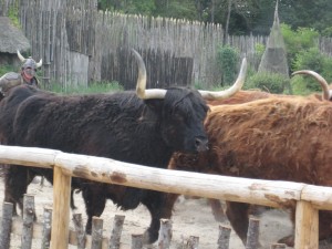 Le Puy du Fou 18 au 20Juin 2015 045