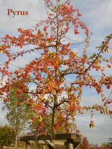 13.jpg 2    