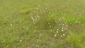 thumb_P1030180_1024  