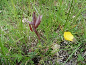 thumb_P1030182_1024  