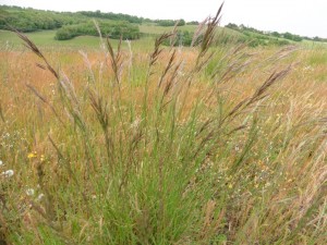 thumb_P1030184_1024  