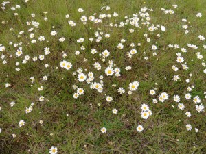 thumb_P1030186_1024  