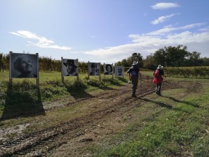 Marcheurs sur le chemin de St Jacques de Compostelle                 