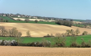 campagne gaudonville_Fotor        